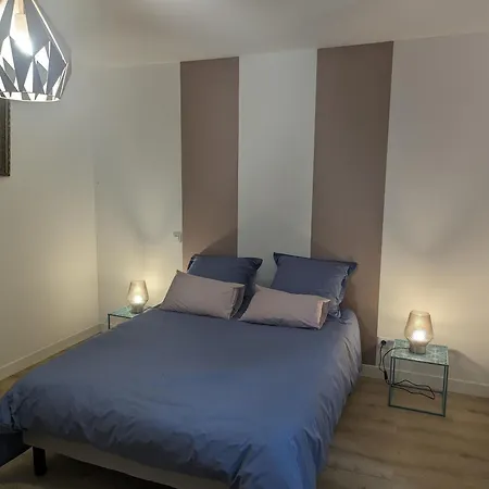 Dans Ancien Presbytere Avec Parc A - Fr-1-611-74 * ラングル